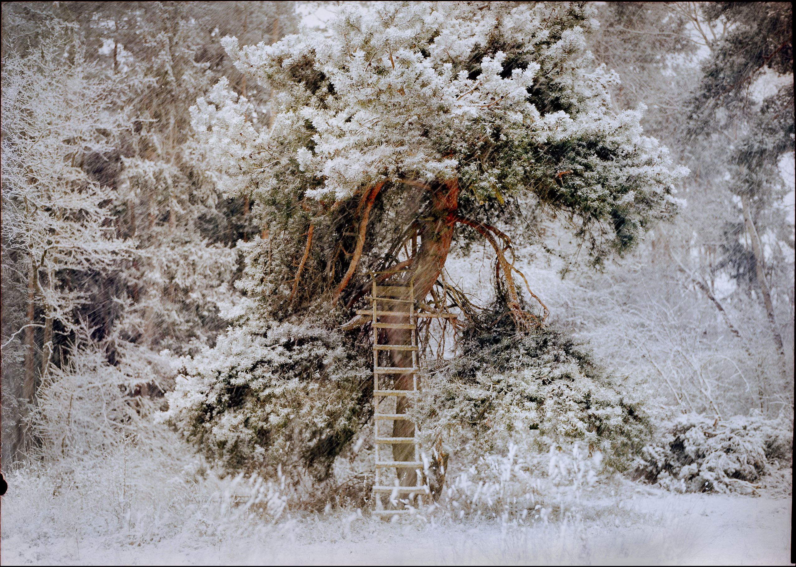 Large format photograph by Tobias Leipnitz – tobias leipnitz large format camera Linhof 5x7 1