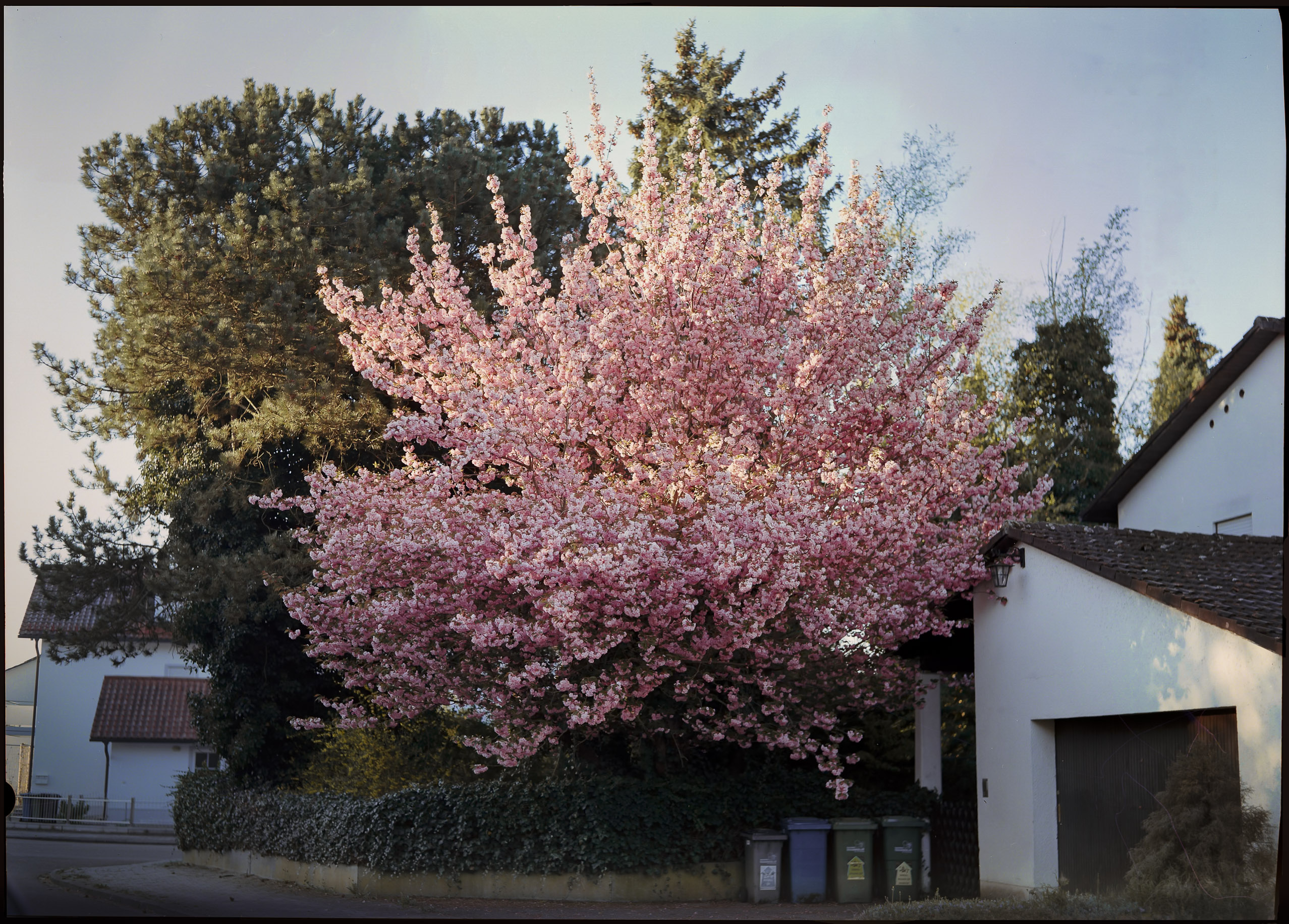Large format photograph by Tobias Leipnitz – tobias leipnitz large format camera Linhof 5x7 19