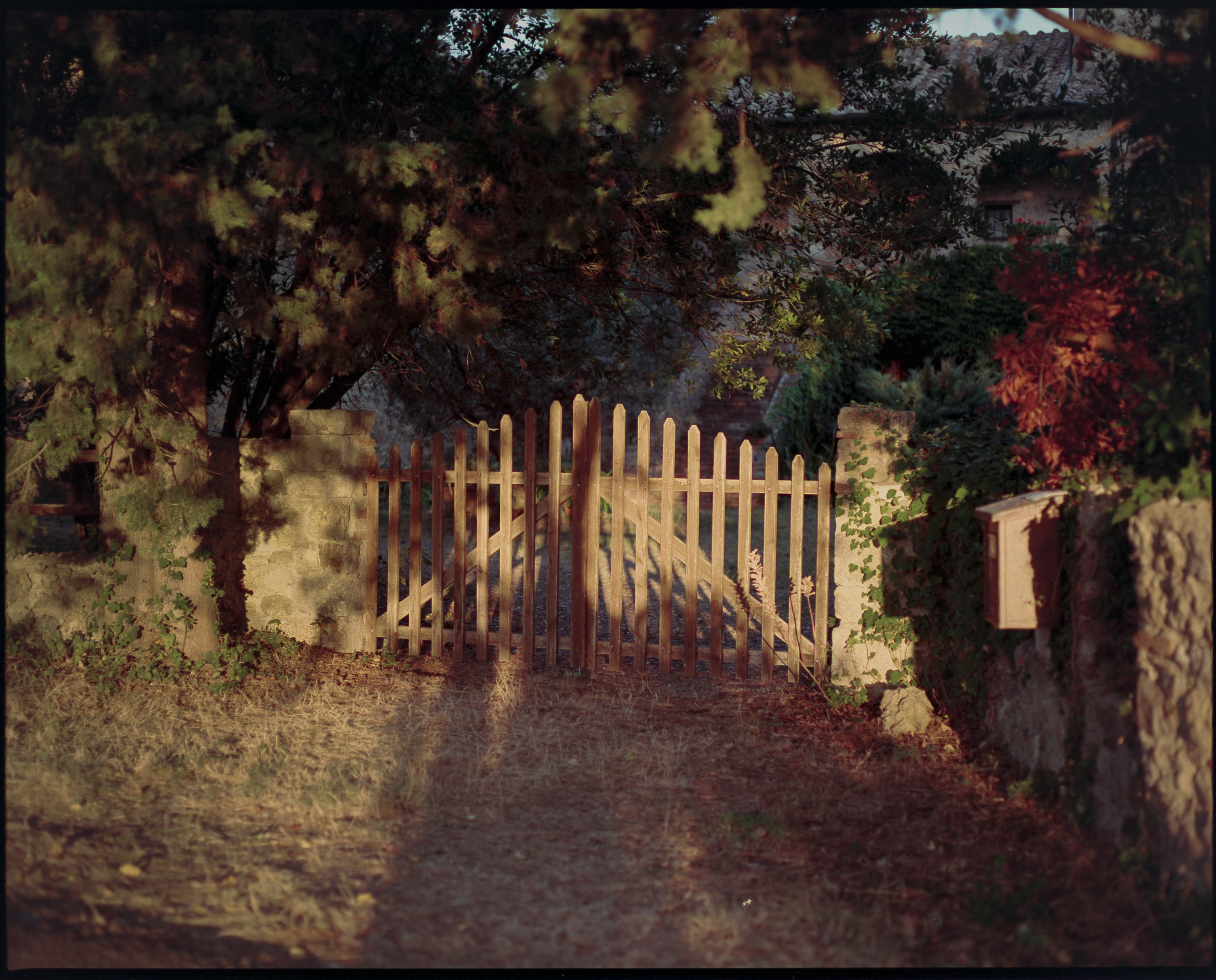 6x7 medium format photograph by Tobias Leipnitz shot on Kodak Portra 400 in Siena. Shot on a Pentax 67 medium format camera.  tobias leipnitz_Siena Italy medium format camera pentax67 17
