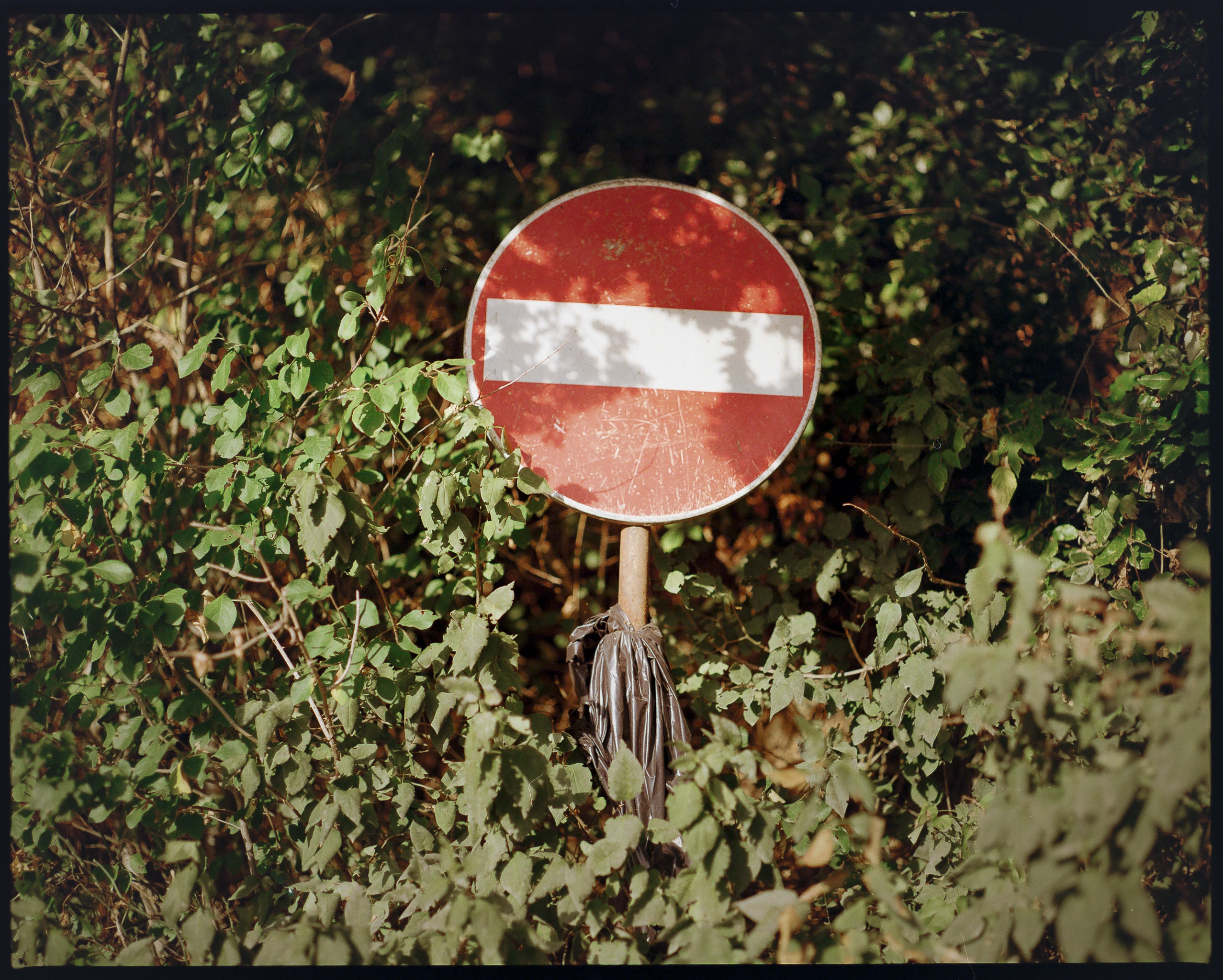 6x7 medium format photograph by Tobias Leipnitz shot on Kodak Portra 400 in Siena. Shot on a Pentax 67 medium format camera.  tobias leipnitz_Siena Italy medium format camera pentax67 23