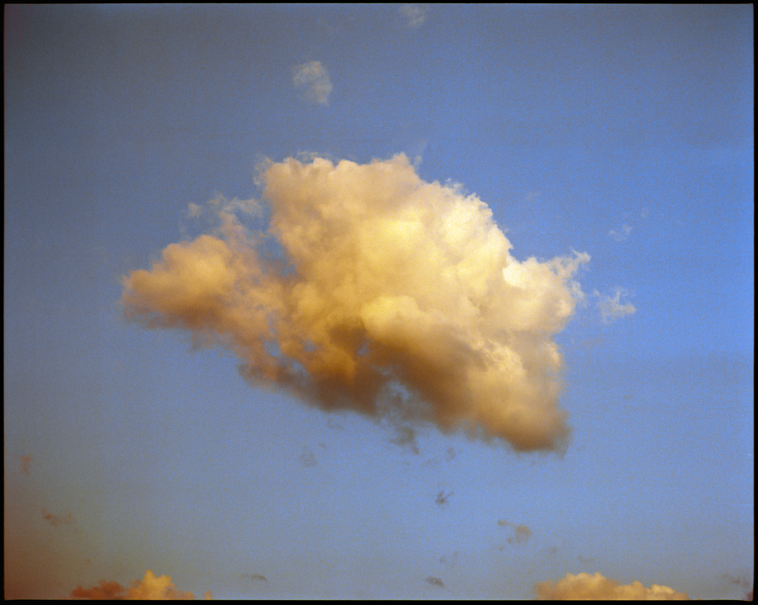 6x7 medium format photograph by Tobias Leipnitz shot on Kodak Portra 400 in Siena. Shot on a Pentax 67 medium format camera.  tobias leipnitz_Siena Italy medium format camera pentax67 3