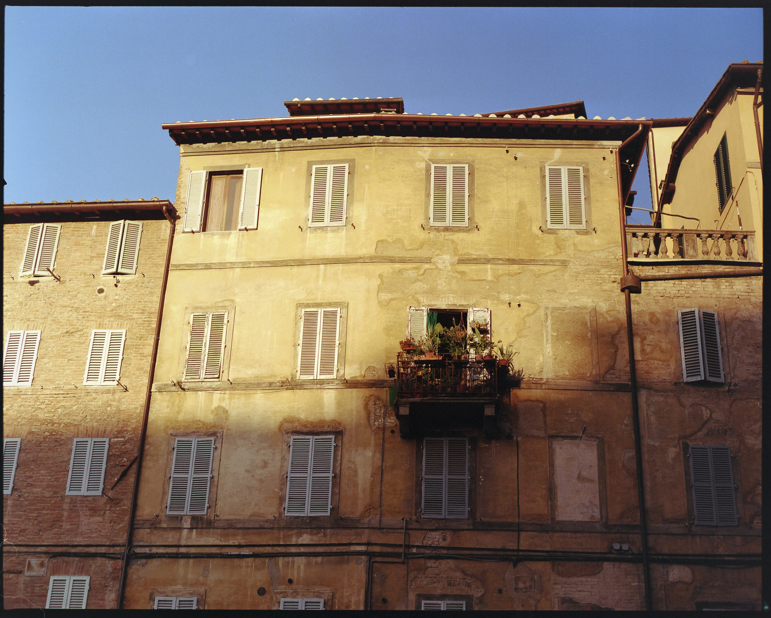 6x7 medium format photograph by Tobias Leipnitz shot on Kodak Portra 400 in Siena. Shot on a Pentax 67 medium format camera.  tobias leipnitz_Siena Italy medium format camera pentax67 37