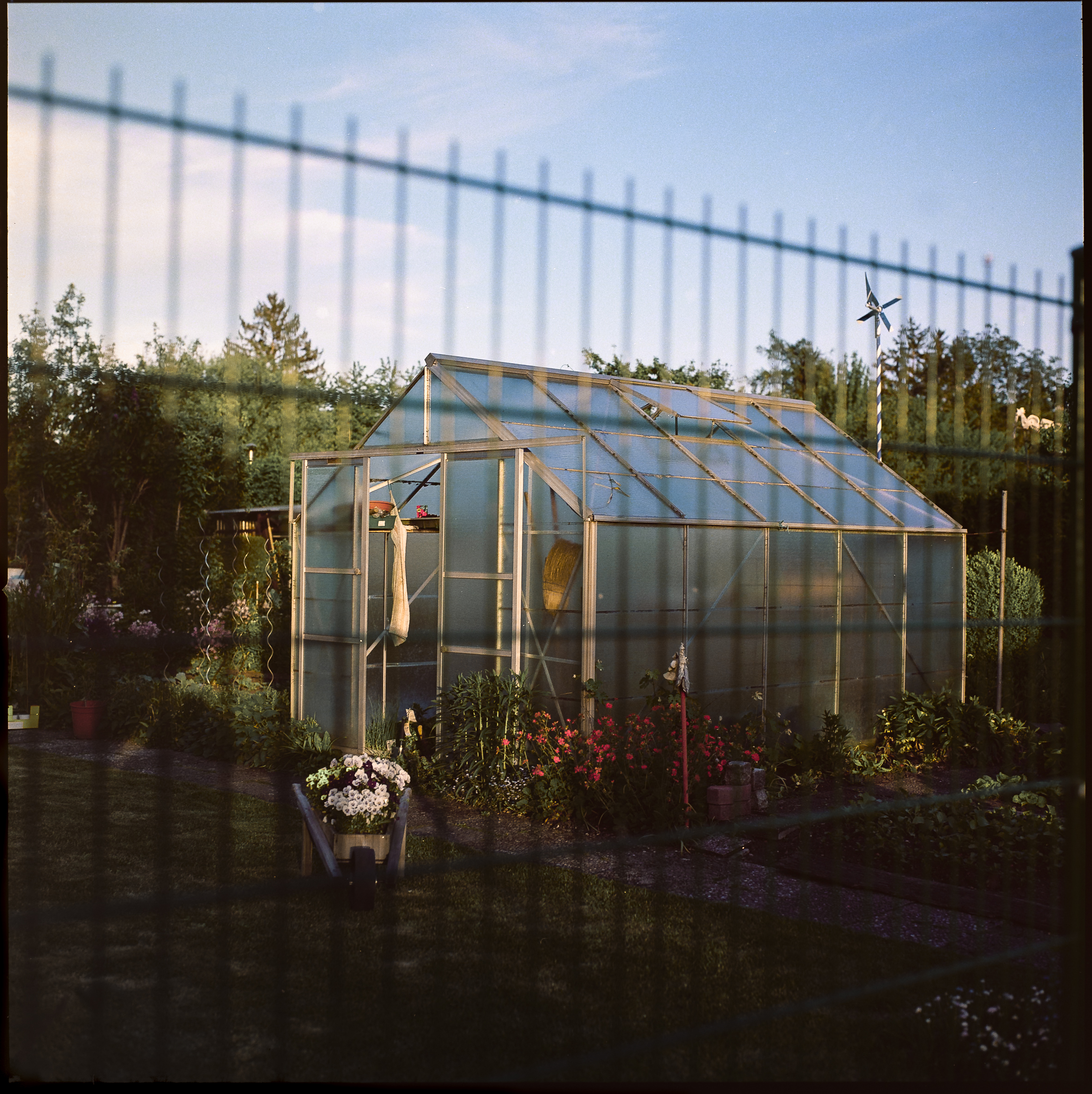 Analog photography diary – personal observations and collected moments by Tobias Leipnitz. Shot on large and medium formt. Leica - Hasselblad - Linhof - Arca Swiss. Tobi_L 1