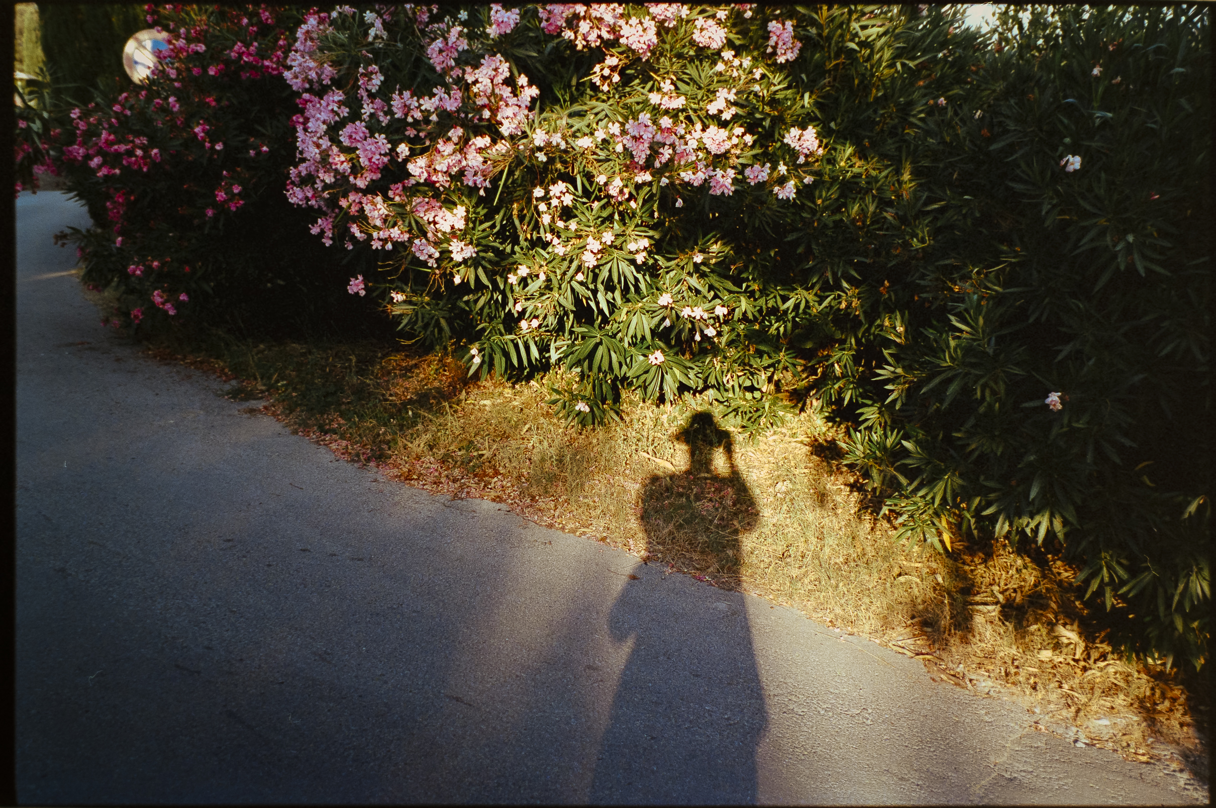 Analog photography diary – personal observations and collected moments by Tobias Leipnitz. Shot on large and medium formt. Leica - Hasselblad - Linhof - Arca Swiss. Tobias Leipnitz LeicaM6 Photography 12