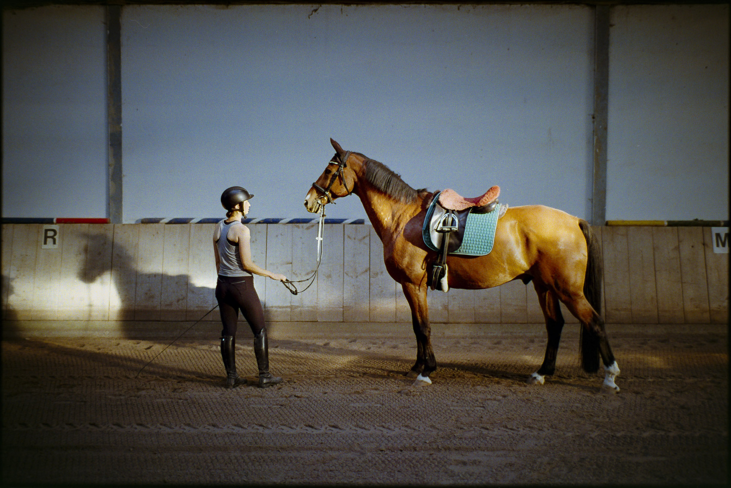 Analog photography diary – personal observations and collected moments by Tobias Leipnitz. Shot on large and medium formt. Leica - Hasselblad - Linhof - Arca Swiss. Tobias Leipnitz LeicaM6 Photography_Horse
