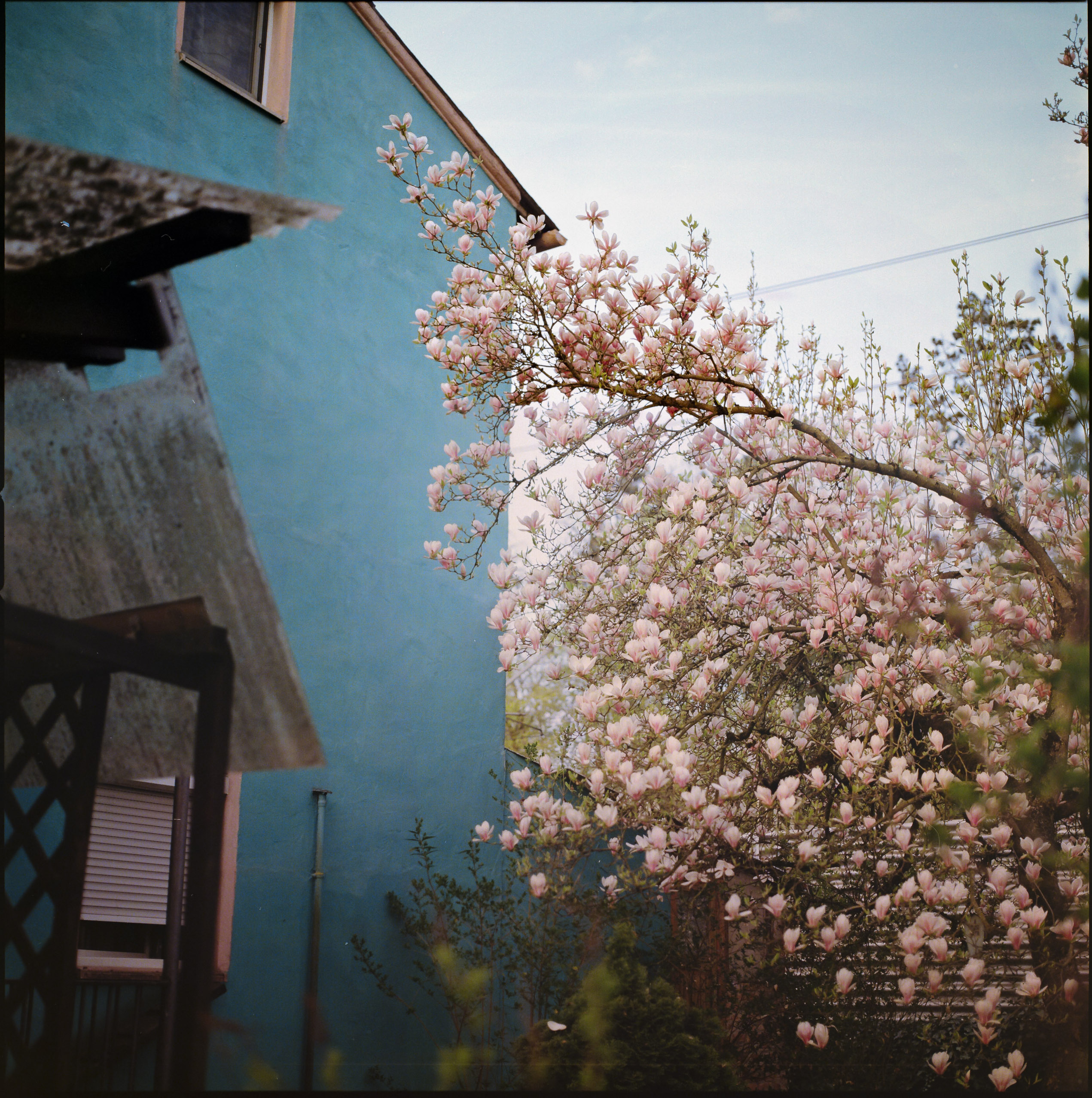 Analog photography diary – personal observations and collected moments by Tobias Leipnitz. Shot on large and medium formt. Leica - Hasselblad - Linhof - Arca Swiss. diary 3