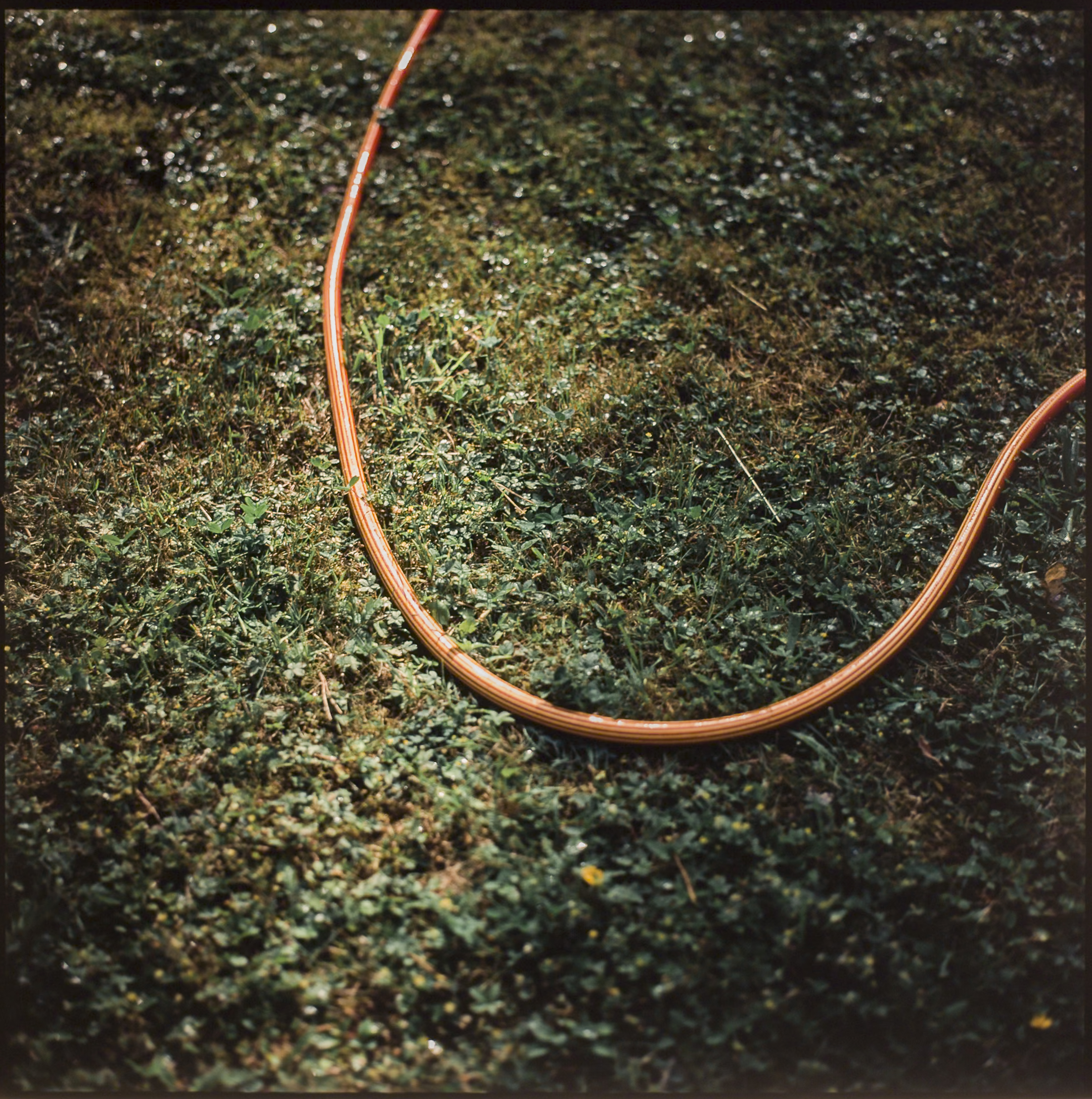 Analog photography diary – personal observations and collected moments by Tobias Leipnitz. Shot on large and medium formt. Leica - Hasselblad - Linhof - Arca Swiss. diary_mai_ 6
