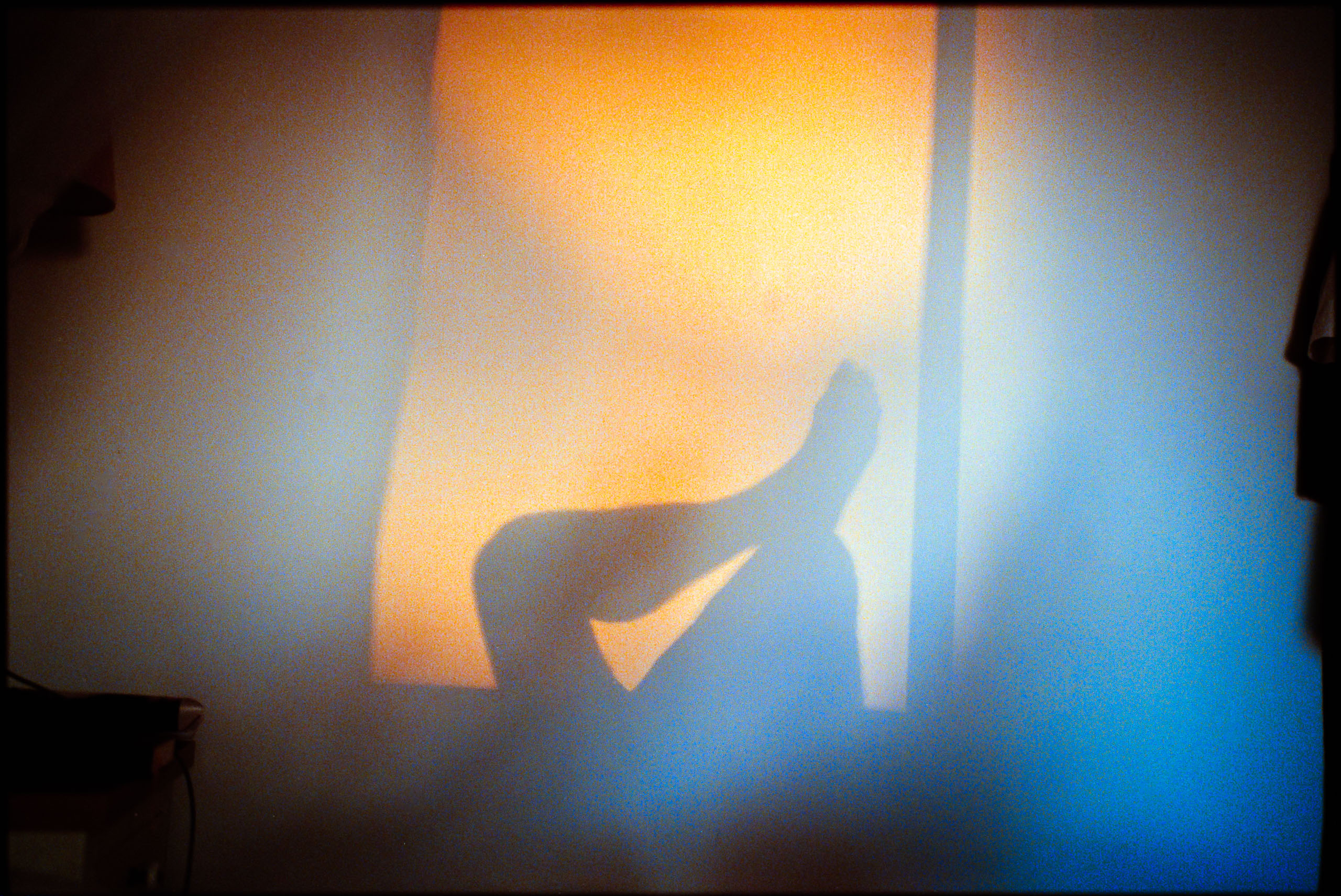 2026 - Saint Cyr sur Mer shot on 35mm color negative film - Leica M6 - Kodak Portra 800 and Kodacolor 800 Tobias Leipnitz Leica Analog Portra800 08