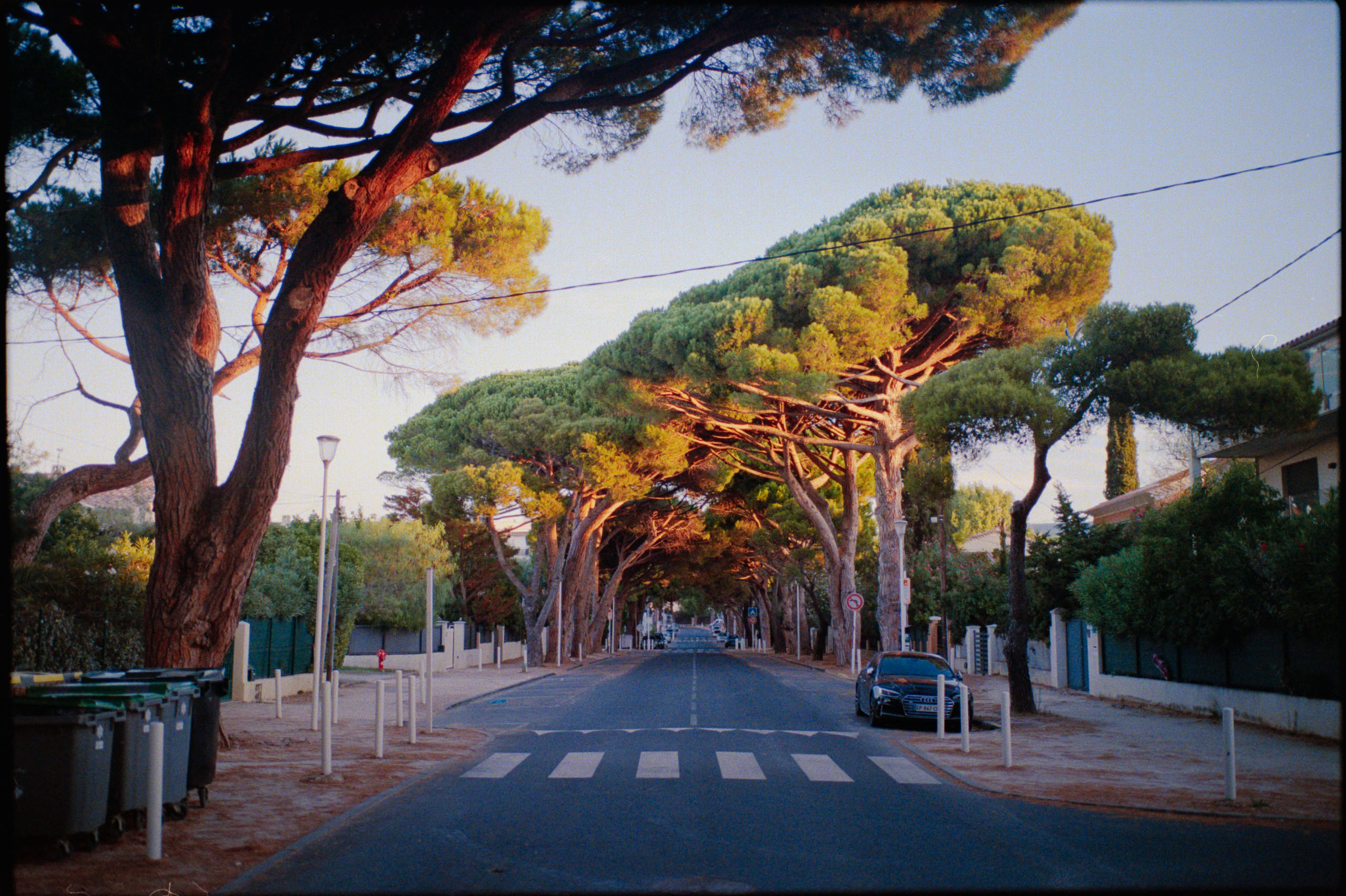 2026 - Saint Cyr sur Mer shot on 35mm color negative film - Leica M6 - Kodak Portra 800 and Kodacolor 800 Tobias Leipnitz Leica Analog Portra800 11
