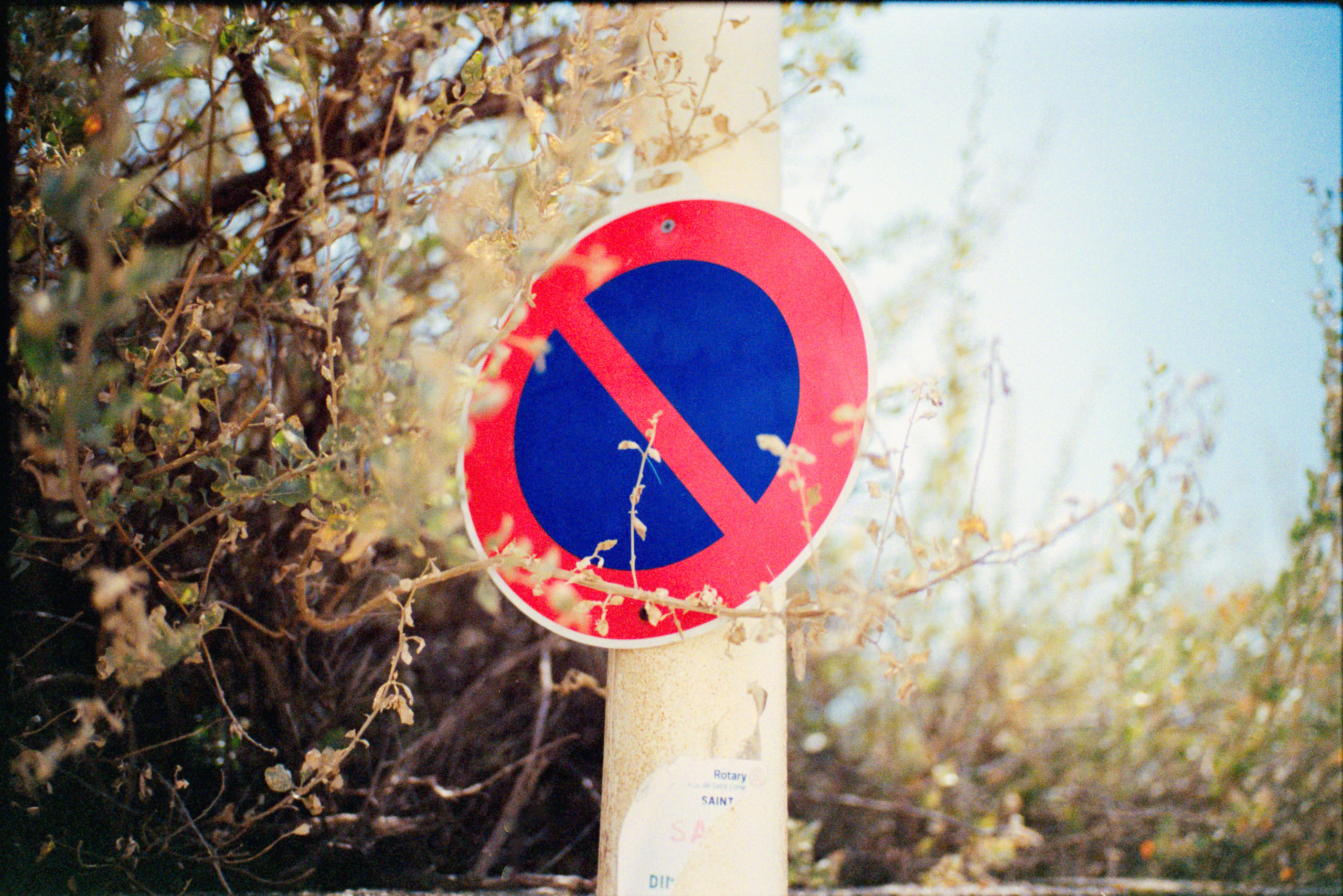 2026 - Saint Cyr sur Mer shot on 35mm color negative film - Leica M6 - Kodak Portra 800 and Kodacolor 800 Tobias Leipnitz Leica Analog Portra800 27