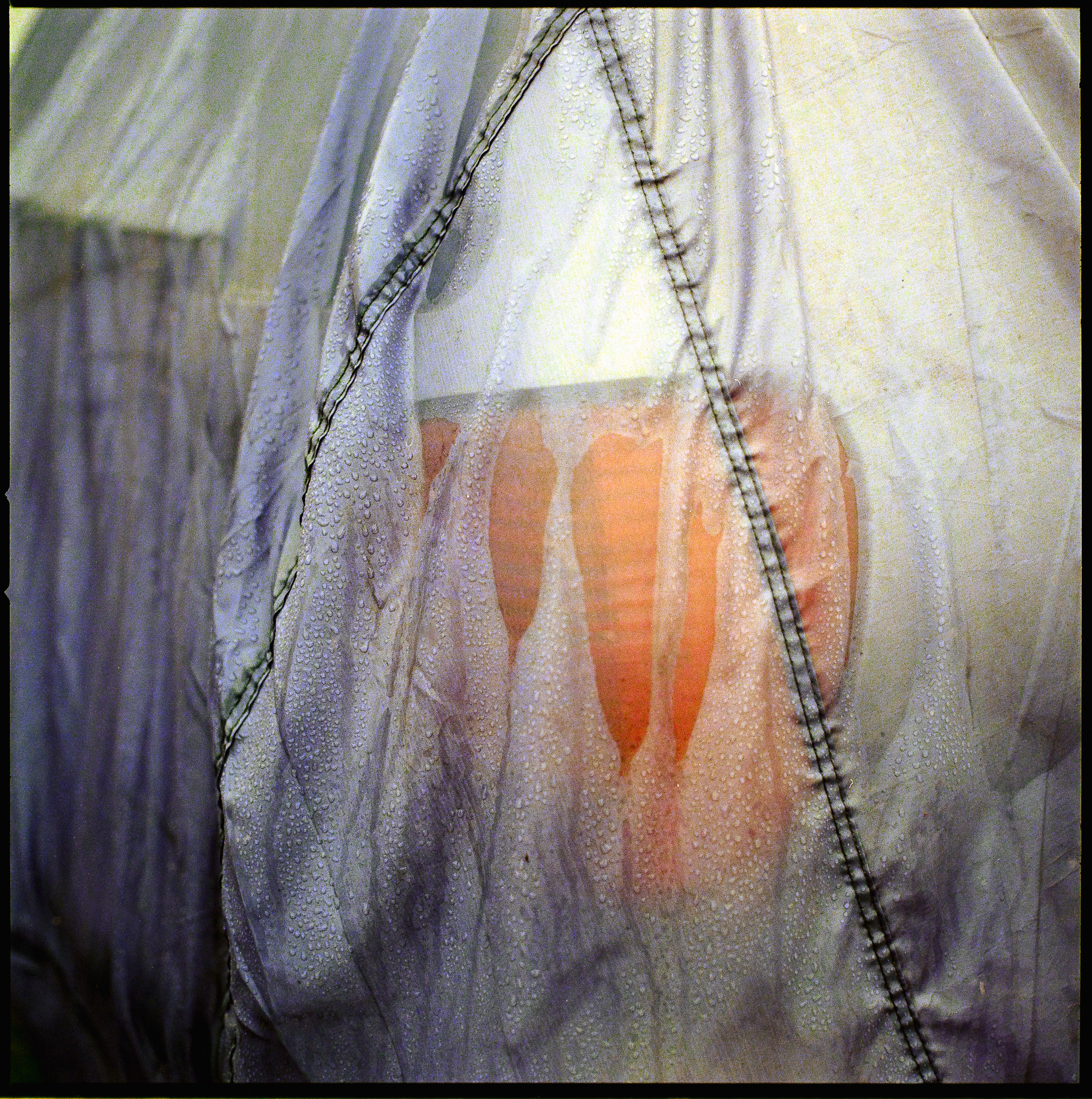 Medium format photography by Tobias Leipnitz –  Kodak Portra 160 and Kodak Portra 400 - Hasselblad 500cmtobias leipnitz hasselblad medium format camera 6x6 19