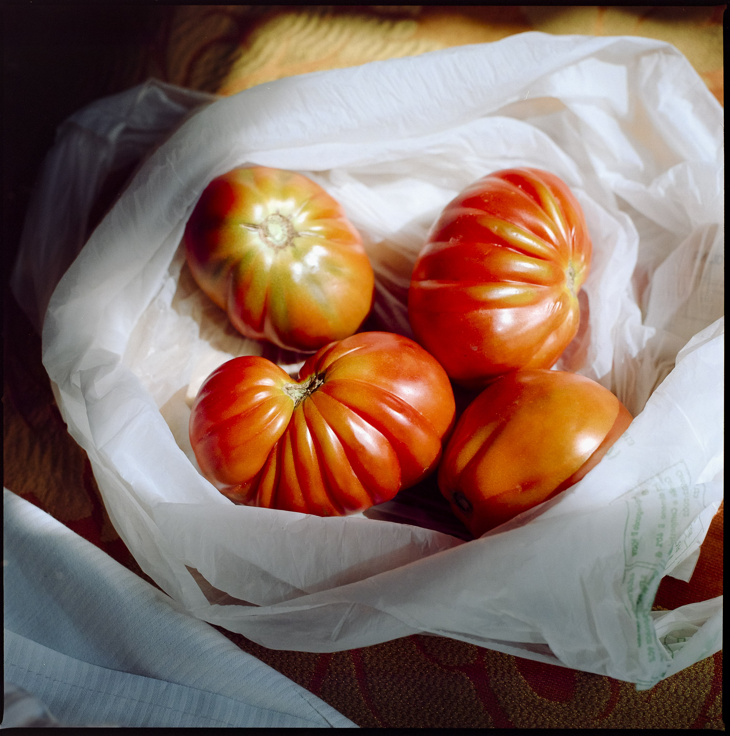 Medium format photography by Tobias Leipnitz –  Kodak Portra 160 and Kodak Portra 400 - Hasselblad 500cmtobias leipnitz hasselblad medium format camera 6x6 29