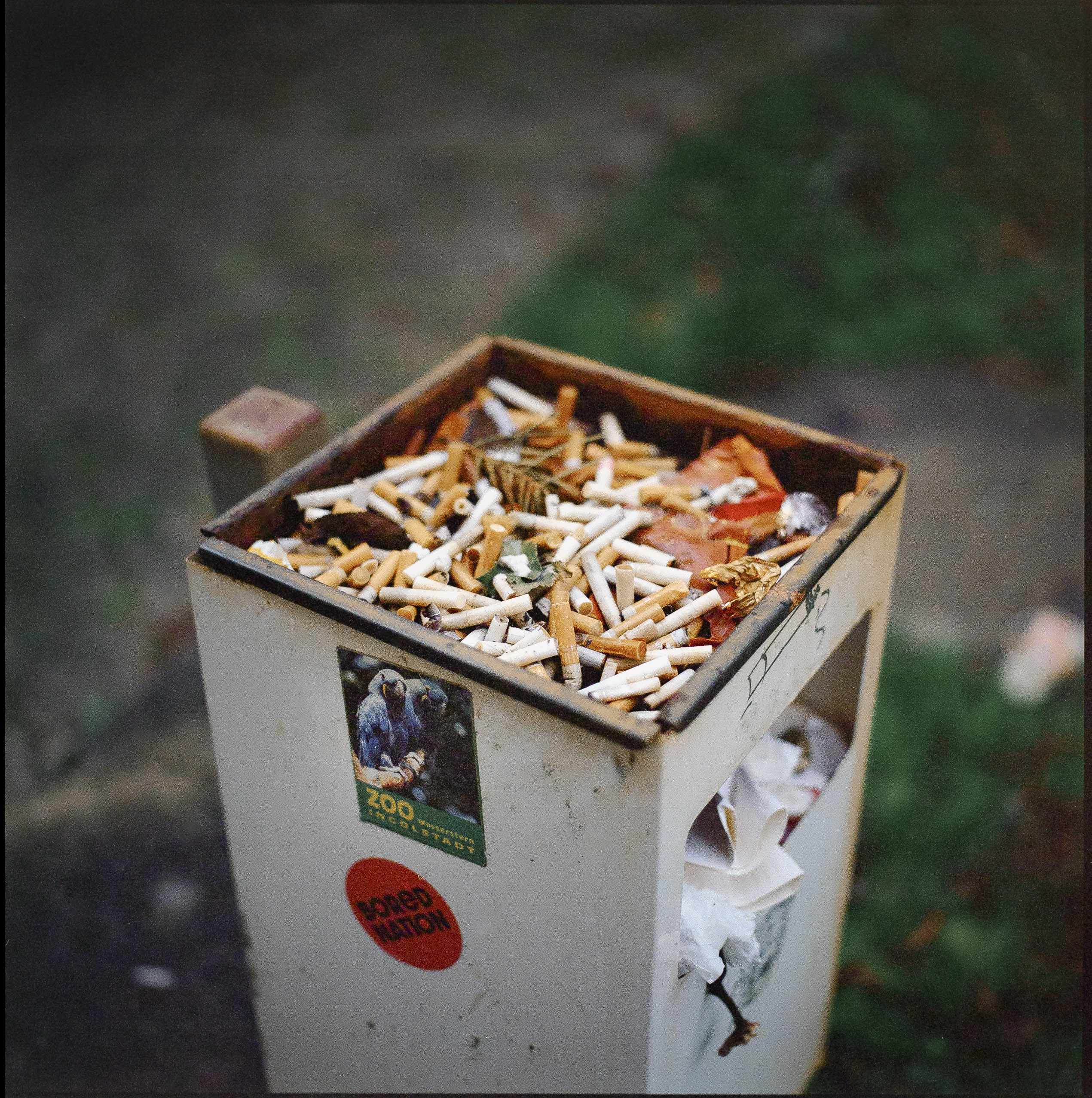 Medium format photography by Tobias Leipnitz –  Kodak Portra 160 and Kodak Portra 400 - Hasselblad 500cmtobias leipnitz hasselblad medium format camera 6x6 40