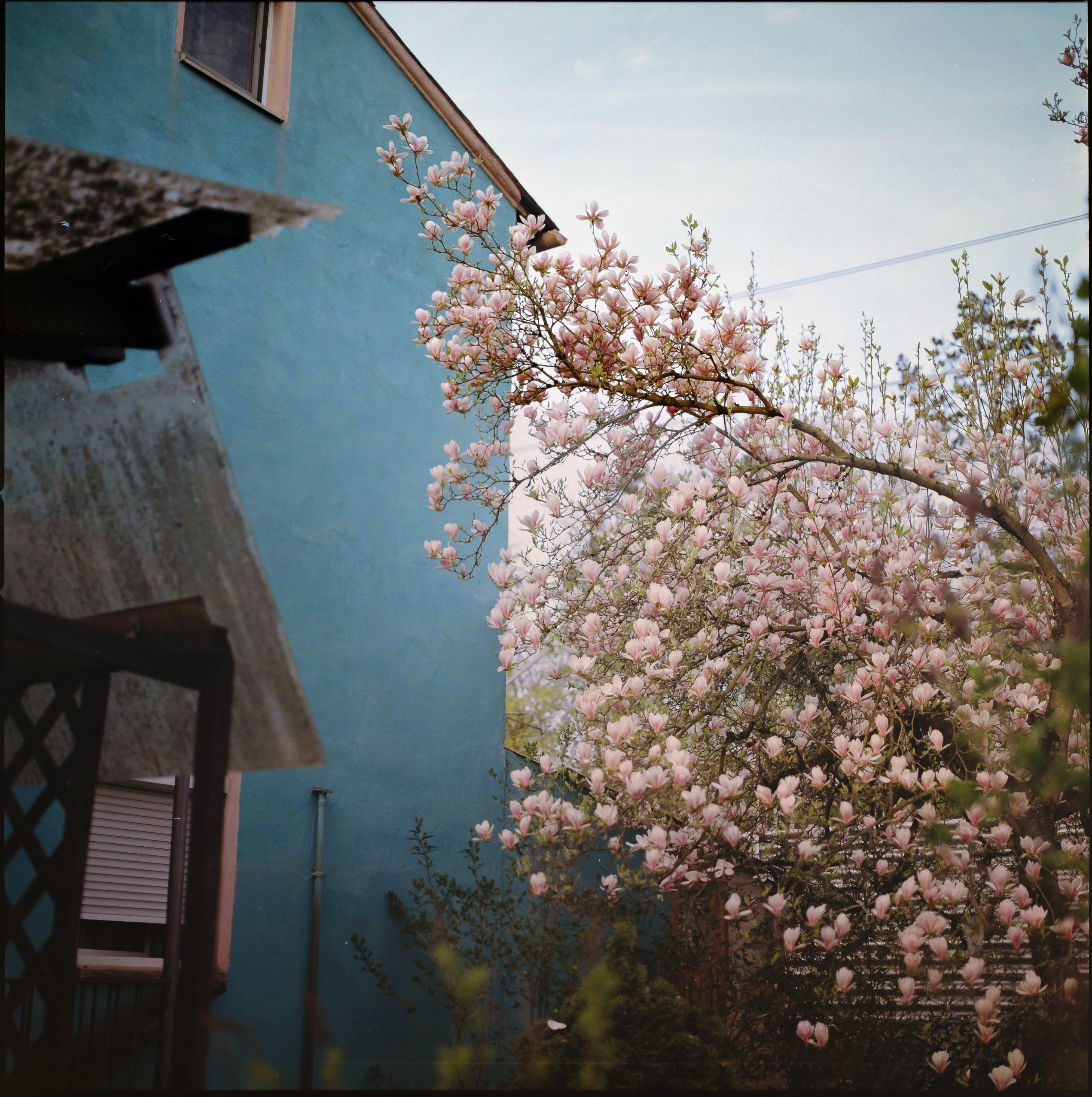 Medium format photography by Tobias Leipnitz –  Kodak Portra 160 and Kodak Portra 400 - Hasselblad 500cmtobias leipnitz hasselblad medium format camera 6x6 43